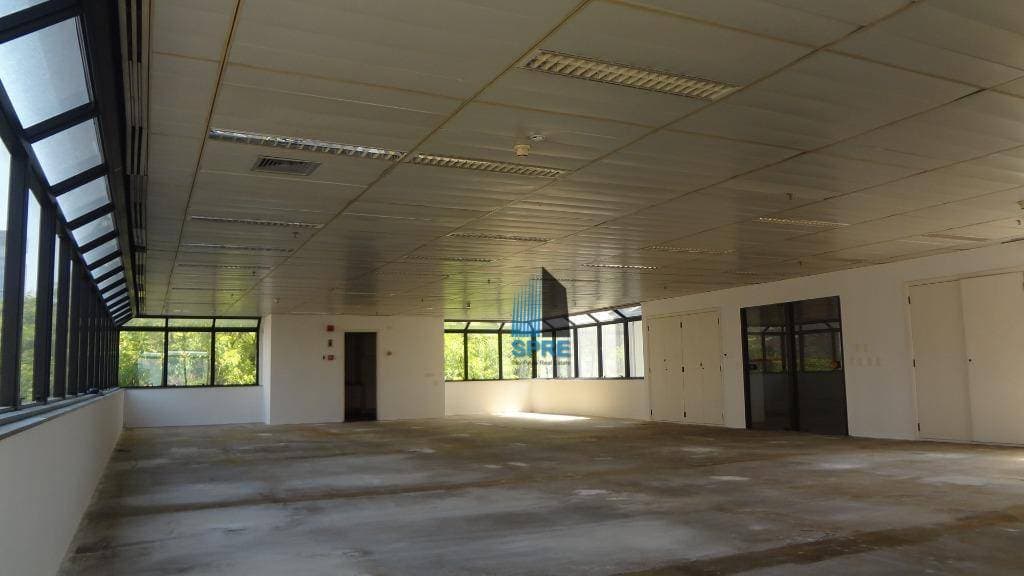 principal