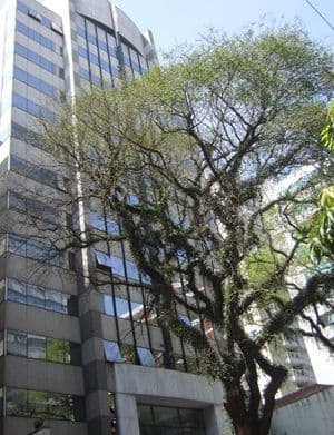 Ufficio Santos