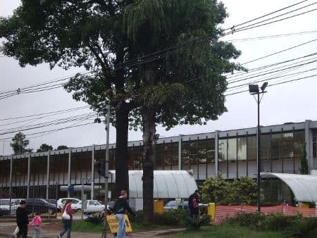 SP Market Center