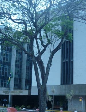 Secretaria de Orçamento Federal