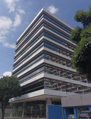 Eucaliptos Office