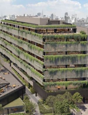 Fidalga J. Safra Corporate